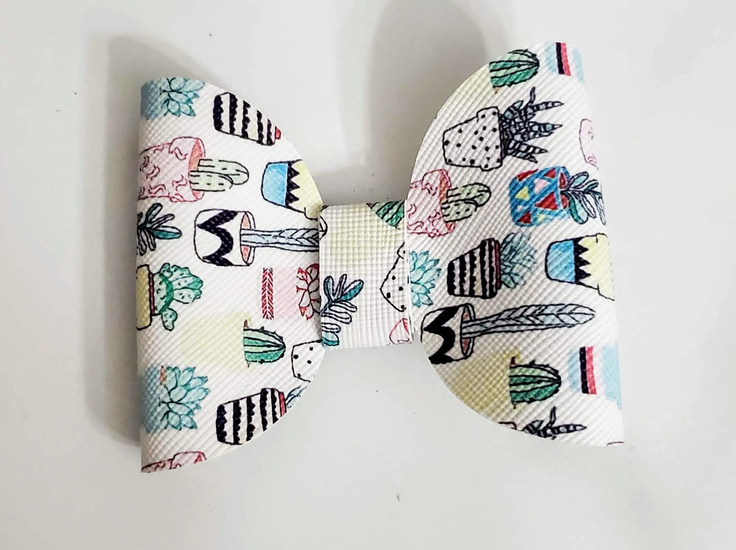 Cactus Plan Mini